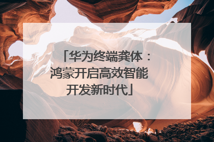 华为终端龚体：鸿蒙开启高效智能开发新时代